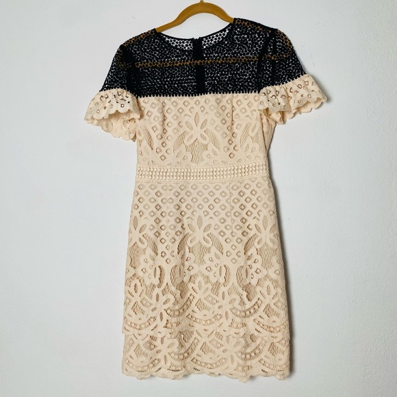 CLUB MONACO Womans Elegant Eyelet Sheath Lace Dress with Ruffle Sleeve Size 4 - Picture 2 of 13